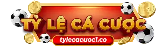 tylecacuoc5.co
